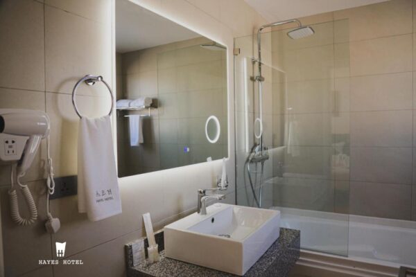 Luxury Suite - Image 6